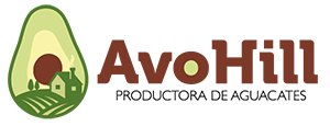 Avohill Logo